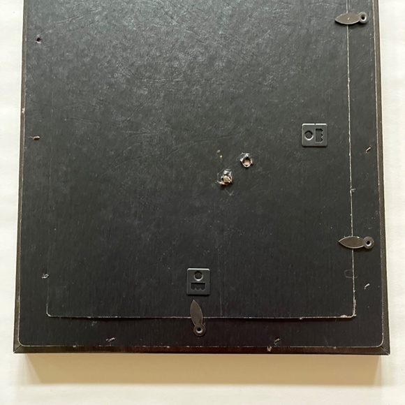 Framed Shell Print - Picture 7 of 7